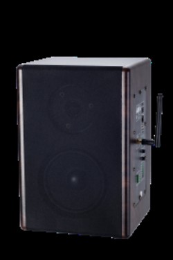 IP 網絡有源監聽音箱   KD-9907